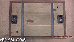 sadomasochism training with intense domination scenes