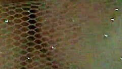 Uber Driver Plays With My Pussy