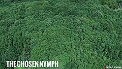 our top pick nominations for the 2024 avn awards from digital playground