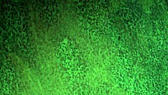 we picked up a guy and had gay sex behind the scenes