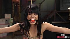 Bound brunette babe whipped and caned during doggystyle fucking