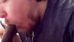 I'm performing a blowjob on a big black cock.