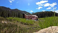 Camping adventure public sex vlog with pussy licking.