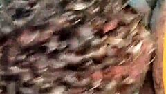 I swallow that fat latin cock and cum all over it, oops