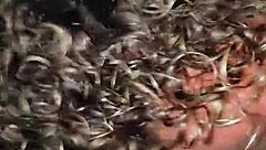 I swallow that fat latin cock and cum all over it, oops