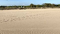 Gay group blowjobs in public with strangers - want the map?