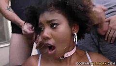 Daizy Cooper's hardcore group sex scene with white cocks and facial cumshot