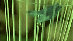 I spent a night in a moorish harem.