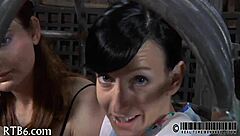 i enjoy free sadomasochism erotica stories