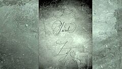 Explore Two Centuries of Vintage Porn!