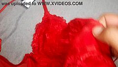 Battle princess lacia and the fallen fortress part 1