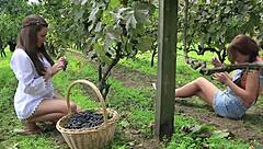 Vivthomas features hannah sweet and subil arch in a vine