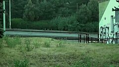 Missing ID in input, skipping