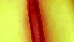 Missing ID in input, skipping