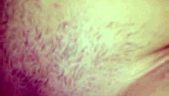 Missing ID in input, skipping