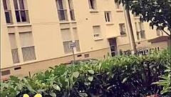 Missing ID in input, skipping