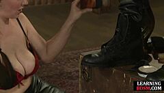 Beautiful woman in lingerie and high heels, teaches BDSM techniques with a brush