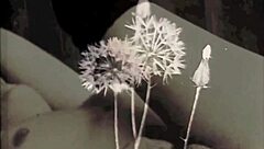 Missing ID in input, skipping