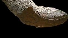 Missing ID in input, skipping