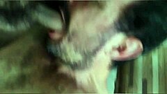 Gay encounter starts with blowjob leading to oral and anal sex