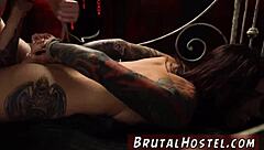 Rough girl bareback xxx excited young tourists felicity feline and her partner explore extreme bondage domination in this hardcore bdsm scene.