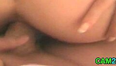 Free adult group sex with cumshots and blowjobs