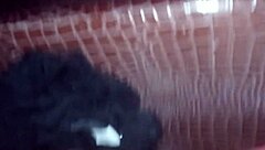 angelg and kuzz's shaved fat pussy adventure