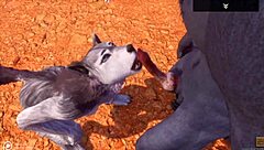 A dominant male wolf seduces a beautiful female in the wilderness