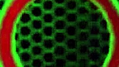 vicky vette licks melissa lynn's cunt in therapy