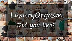 Horny Girl's Shaved Pussy Craves Big Cock Deep Inside