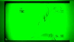 A collection of public outdoor video clips