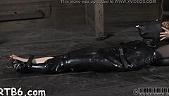 Sweet Beauty Tossed Into Cage For Domination, Sucking And Spanking With Slut Playgirl