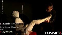 can these girls endure rough spanking and tight bondage?