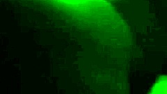 Man, this Venezuelan BBW’s hot ass got me wild at the hotel!