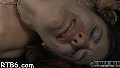 Xv-3988ecd975a97db53539fcc3a0b693c9