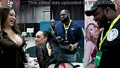 We fucked in the parking lot exxxotica nj 2024 vlog