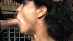 I Explore Sadomasochism Through Whipping in These Movies