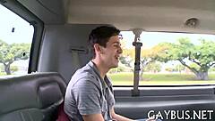 Talking about homosexual bear sex in casual conversation