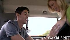 Talking about homosexual bear sex in casual conversation