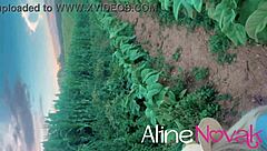 Loira gostosa foi ver a plantação de milho e ganhou sabugo na boca - alinenovak com br