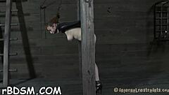 Opening Beauty's Delicate Cleft Lips