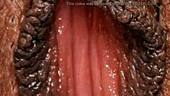 Close-up shots of black and hairy pussies in HD