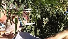 Hot suck and fuck in 420 patch