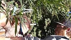 Hot suck and fuck in 420 patch