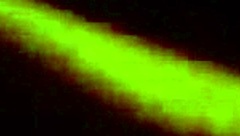 A couple engages in wet pussy riding with black cock.