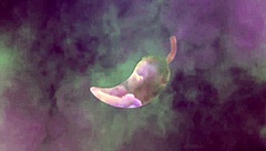 does my ass cum first in this bet with the neighbor