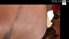 brazilian pov blowjob compilation featuring stellastill, lolla martinelli, and more sucking big black cocks