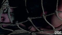 realtor and client double penetrate submissive beauty, punishing ass