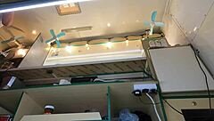 I Upskirted This Crazy Girl At Work And She Let Me Fuck Her For Extra Money