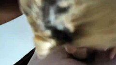 Two bisexual men enjoying a double blowjob with bareback sex